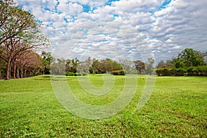 Wide lawn in the park