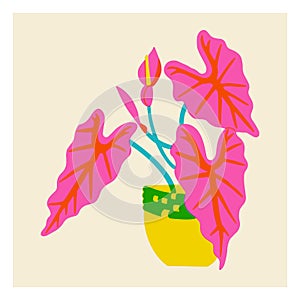 Wide leaves in pot in the style of risograph. Tropical houseplant with leaves. Contrast vector