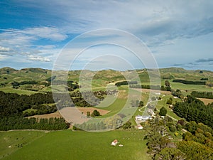 Wide New Zealand Farmlands Countryside