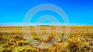 The wide open farmland along the R39 in the Vaal River region of southern Mpumalanga