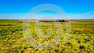 The wide open farmland along the R39 in the Vaal River region of southern Mpumalanga