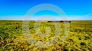 The wide open farmland along the R39 in the Vaal River region of southern Mpumalanga