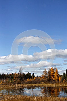 Wide open Manitoba Sky in Fall