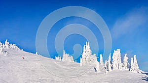 Wide open ski-able snowfields in the high alpine ski area