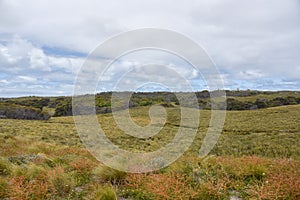 Wide Open Spaces: Rottnest Island