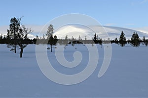 A wide open winter landscape in the skiing area of Idre FjÃ¤ll in North Sveden