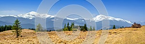 Wide panorama alpine pasture in the Carpathian mountains against the backdrop of a snow-covered mountain ridge and the highest