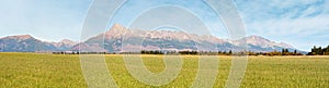 Wide panorama of green meadow with small forest and mount Krivan peak - Slovak symbol - in distance, blue sky above