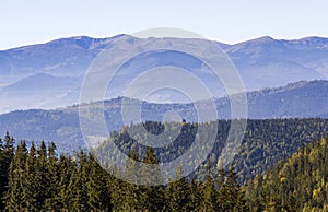 Wide panorama of green mountain hills in sunny clear weather. Carpathian mountains landscape in summer. View of rocky peaks covere