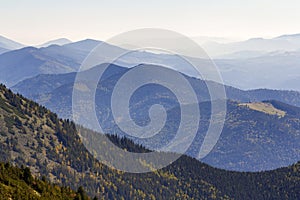Wide panorama of green mountain hills in sunny clear weather. Carpathian mountains landscape in summer. View of rocky peaks covere