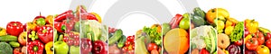 Wide panorama healthy fruits and vegetables separated by vertical lines on white