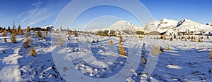 Wide Panoramic Winter Landscape Snow Mountain Peaks Banff National Park Alberta Canada