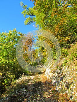 Wide path carved into a steep slope under Sveti Jakob in Slovenia