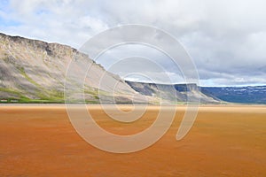 Wide Raudisandur beach of Iceland Europe