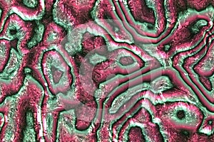 Wide repeating sea nacre pattern