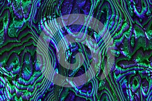 Wide repeating sea nacre pattern