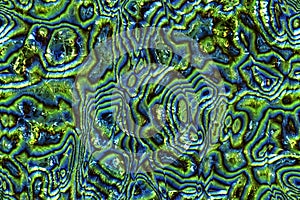 Wide repeating sea nacre pattern