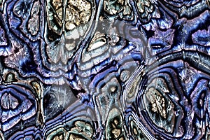 Wide repeating sea nacre pattern