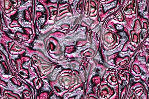 Wide repeating sea nacre pattern