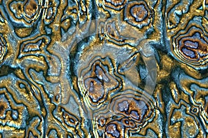 Wide repeating sea nacre pattern