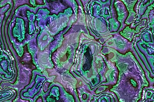 Wide repeating sea nacre pattern