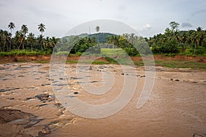 The Wide River among the Jungle.