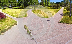 The wide road is divided into three alleys in the park, going in different directions. Conceptual summer landscape photo