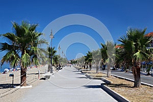 Wide road near beach with palms