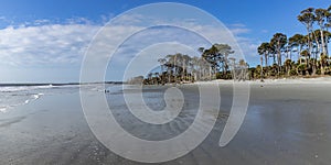 Wide sandy beach at low tide, sunny morning with blue skies, white clouds and palmetto palm trees panorama