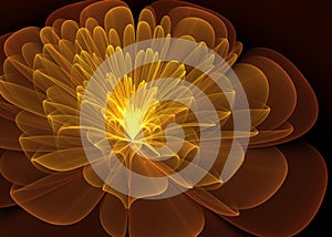 Wide Shining Flower Background - Fractal Art