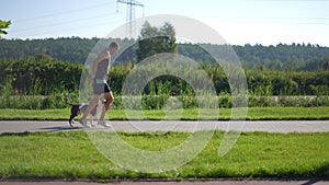 Wide shot alley in green park with sportsman and dog jugging passing leaving in slow motion. Side view Caucasian adult