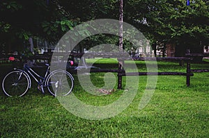 Wide shot of a bicycle with decorated basket near a wooden fence in a green grass field with trees