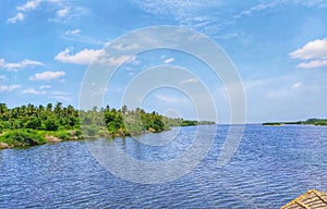 Wide shot of the clear blue sky and greeny sceneries along the backwaters