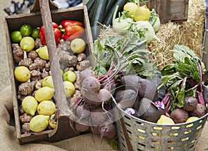 Wide shot of fruit and vegetables in a basket