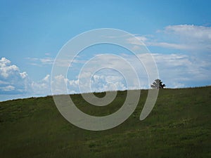 Grassy hill with a solitary young tree in the far distance, South Dakota landscape