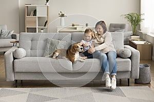 Wide shot of happy grandmother and granddaughter kid stroking dog