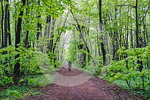 Wide shot of a man riding a bicycle on a pathway in the middle of a forest full of trees