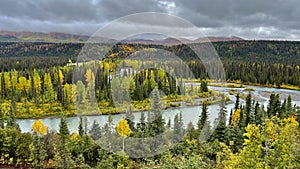 Wide shot of the Nenana River, Alaska, flowing among autumn-colored trees in a forest