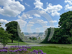 Wide Shot of Public Park Nordpark in Wuppertal, Germany