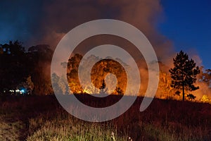 Wide shot of raging wildfire grassfire with emergency vehicle lights in background. Inspiration image for bushfire warning, summer