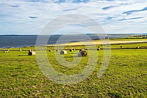Wide shot of a seashore with hay bales in the far north of Scotland near Wick, Caithness
