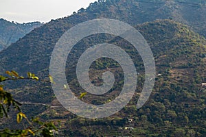 Wide shot of terrace type crop fields on mountain under the sunlight