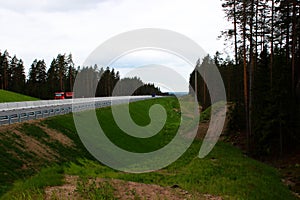 wide and sloping roadside with specially planted grass on the main highway.