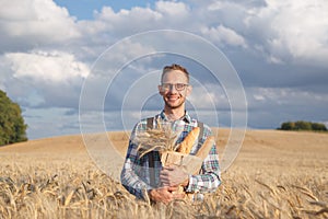 Wide smiling farmer or baker with baguettes in rye, wheat field