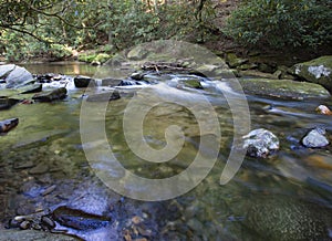 Wide stream in a North Carolina forest