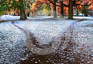 The wide trail is divided into two paths diverging in different directions. Autumn landscape with fallen leaves, frost and early photo