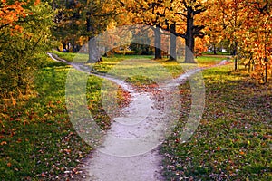 A wide trail in the rays of sunset in an autumn park branches into two narrow ones, leading in different directions