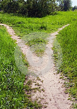 The wide trodden path in the grass splits into two narrow paths