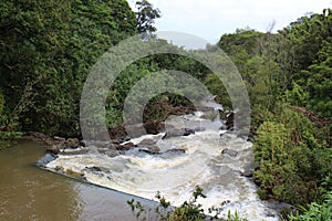 A wide, turbulent stream rushing over volcanic rock through a rainforest in Maui, Hawaii