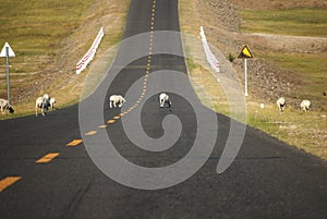 A wide and undulating asphalt road leads to the top of the mountain